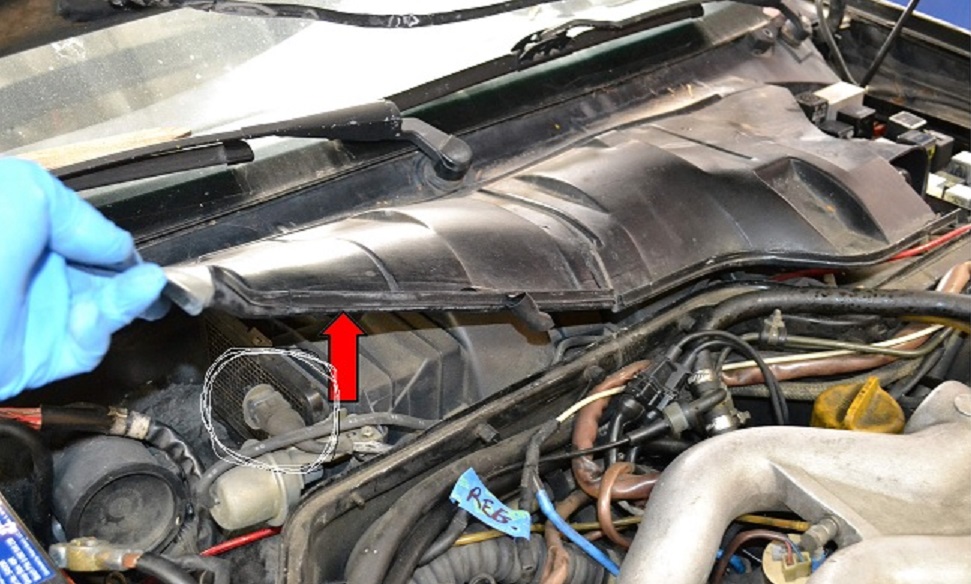 [Image: sensor%201.jpg]